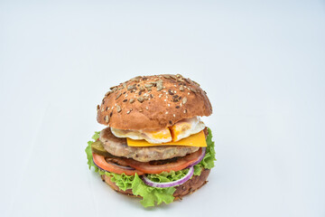 Fresh tasty burger with onions and tomatoes 