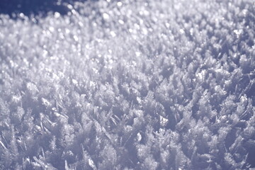 frosen cristal snow macro view. white and blue background 