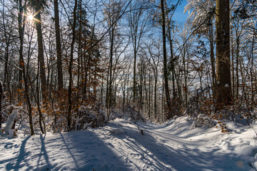 Snowshoe tour at the Gehrenberg near Lake Constance