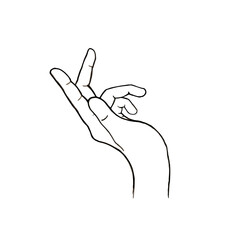 hand contour drawing on white background, aesthetics