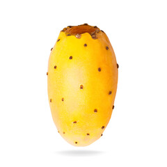 Isolated fly opuntia fruits. One whole yellow prickly pears cactus fruit on white background with clipping path