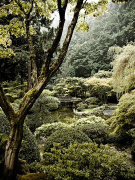 A pond sits in the middle of a lush, green garden scape.  A small bridge crossed the pond.  