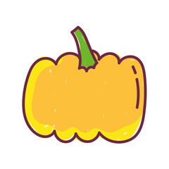 pumpkin fresh nutrition vegetable food, line and fill icon