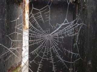 Frozen cobweb between the metal plates of a fence at sunrise during winter