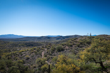 Colossal Cave Mountain Park