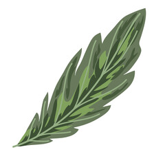 Fototapeta na wymiar leaf natural botanical foliage decoration isolated icon