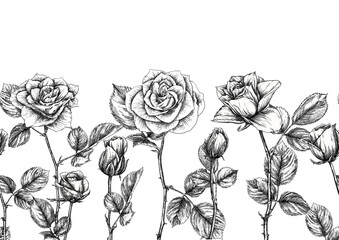 Seamless pattern with roses flowers. Colored vector illustration. In black and white graphic