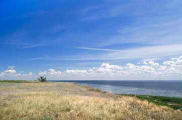 Steppe on the banks of the Volga