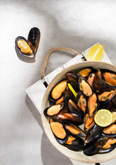mussels in shells