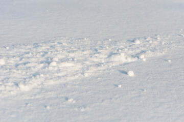 
Background from fluffy snow close-up.
