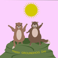 Two cheerful Marmot - illustration, vector. Happy Groundhog Day. wildlife