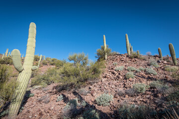 Colossal Cave Mountain Park