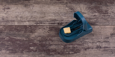 plastic mousetrap on wooden floor