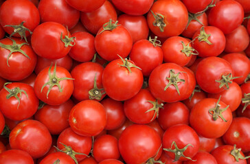 Ripe organic red tomatoes background