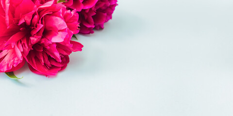 Valentines day composition with red peonies on a light background