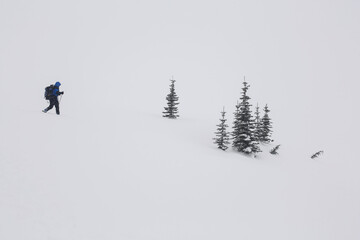 A person snowshoes toward a group of evergreen trees in snowy conditions in winter
