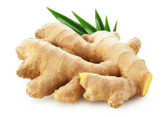 Ginger root with leaves isolated on white background 