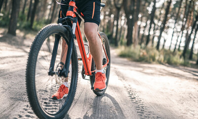 Fototapeta premium Bicycle riding through pine forest