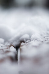 southern city and snow