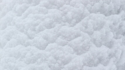 
Snowy white background of snow adhering to a tree trunk