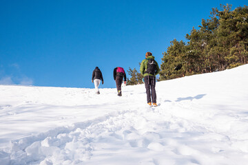 Friends hiking snowshoeing in winter on snowy hill on a beautiful sunny day. Winter sports. Active people in mountains.
