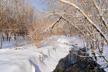 Fototapeta na wymiar Winter Park in the afternoon. the stream is not frozen, the trees and the ground are covered with snow. walks in nature in the cold. Winter's tale.