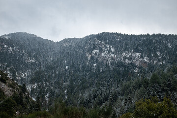 Tzitzina, Peloponesse, Greece - January 05, 2019: Snowing on the mountain