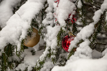 Weihnachtlich geschmückte Bäume im verschneiten Winterwald
