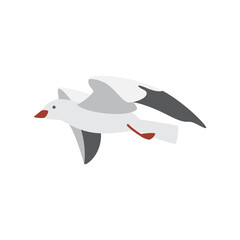 Free hovering in sky flying sea gull a vector isolated illustration