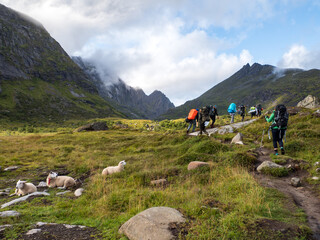 Fototapeta na wymiar Norway