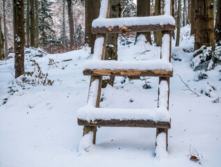 Wooden ladder covered with snow in the woods leaned against a tree.