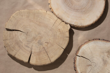Cross section of tree trunk. Tree wood log slices 