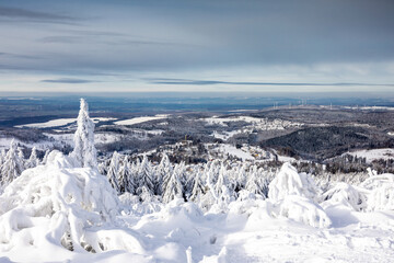 Fototapeta na wymiar View from the Feldberg plateau in winter
