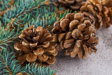 Pine cone and green branch on wooden table .Christmas card. Pine cones on wooden background.