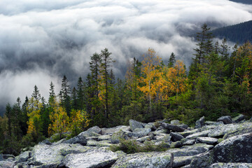 Morning at the top of Mount Yavornik