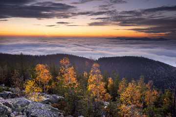 Morning at the top of Mount Yavornik