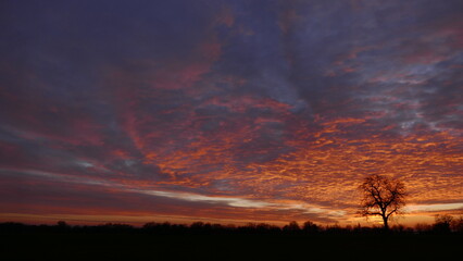 Sunset in the fields 