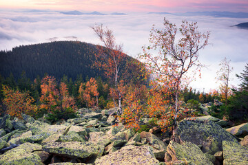 Morning at the top of Mount Yavornik