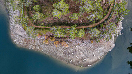 Forest top view
