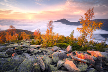 Morning at the top of Mount Yavornik