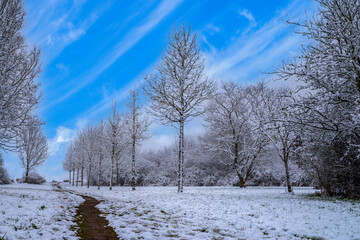 Winterlandschaft, Bäume die mit Schnee bedeckt sind bei untergehender Sonne