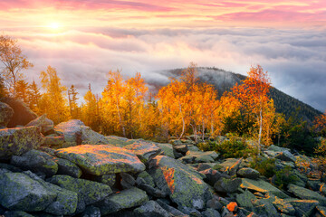 Morning at the top of Mount Yavornik