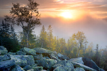 Morning at the top of Mount Yavornik