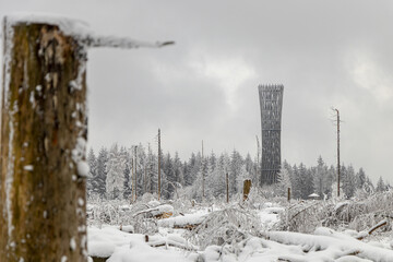 Aussichtsturm zwischen verschneiten Bäumen im Winterwald