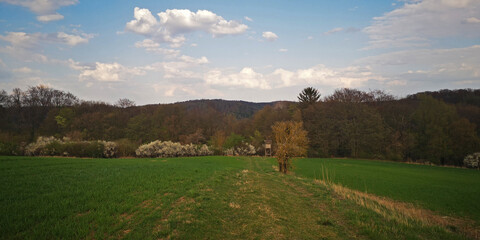 Blick auf den Thüringer Wald vom Sand Unkeroda