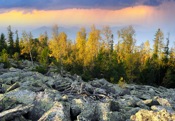 Morning at the top of Mount Yavornik