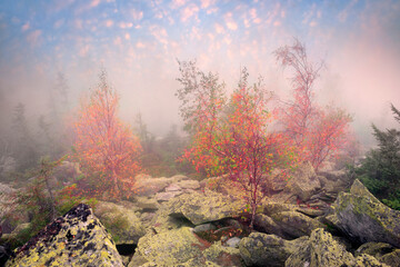 Morning at the top of Mount Yavornik