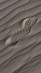 Fototapeta na wymiar Shoe print in sand