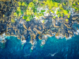 Oceanside Shoreline