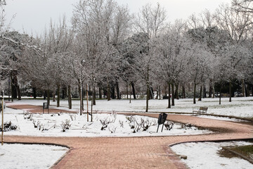 Paseo nevado